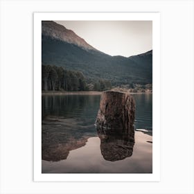 Tree Stump In Lake Art Print