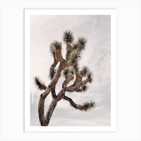 Joshua Tree Sky Art Print