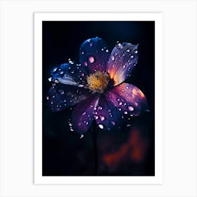Raindrops On A Flower 4 Art Print