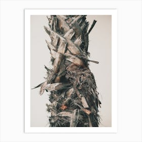 Palm Tree Trunk Art Print