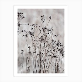 Flower Buds In The Beige Greige Golden Field 2 Art Print
