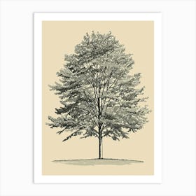 Beech Tree Minimalistic Drawing 2 Art Print
