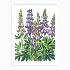 Lupines 3 Art Print