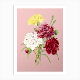 Vintage Carnation Botanical on Soft Pink Art Print