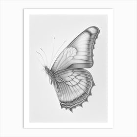 Butterfly Outline Greyscale Sketch 2 Art Print