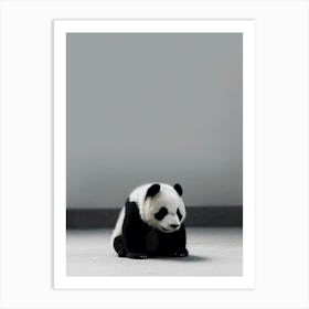 Panda Bear Art Print