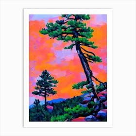 Rocky Mountain Juniper Tree Cubist 2 Art Print