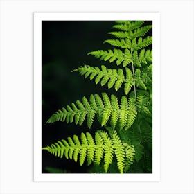 Pattern Poster Royal Fern 4 Art Print