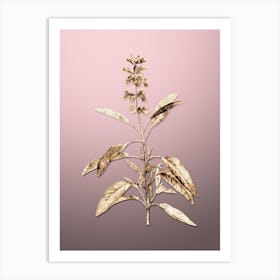 Gold Botanical Sage Plant on Rose Quartz n.0123 Art Print