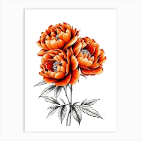 Peonies 9 Art Print