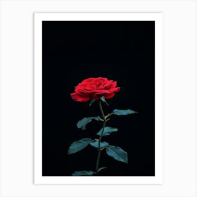 Red Rose On Black Background 51 Art Print