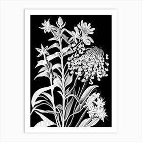 Showy Milkweed Wildflower Linocut 2 Art Print