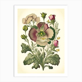 Primrose 1 Floral Botanical Vintage Poster Flower Art Print