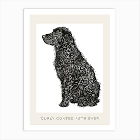 Curly Coated Retriever Dog Line Sketch Poster Art Print