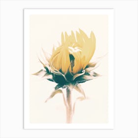 Closed Sunflower Petals Art Print