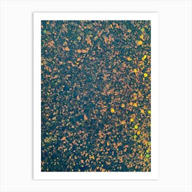 Autumn Leaves In The Water Art Print