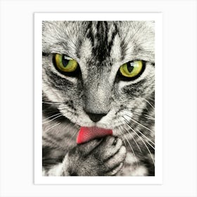 A cute cat Art Print