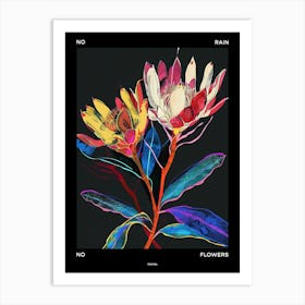 No Rain No Flowers Poster Protea 2 Art Print