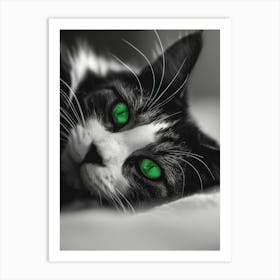 Green Eyes Cat Art Print