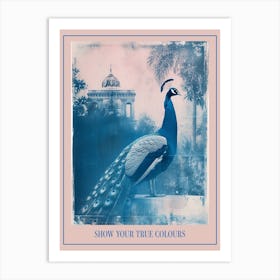 Peacock In A Tropical Garden Cyanotype Inspired Poster Art Print