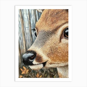 Deer In The Woods 6 Art Print