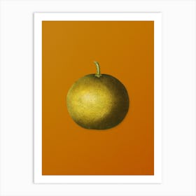 Vintage Adam's Apple Botanical on Sunset Orange n.0244 Art Print