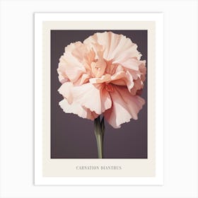 Floral Illustration Carnation Dianthus 3 Poster Art Print