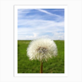 Dandelion 1 Art Print