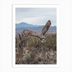 Desert Great Horned Owl Art Print