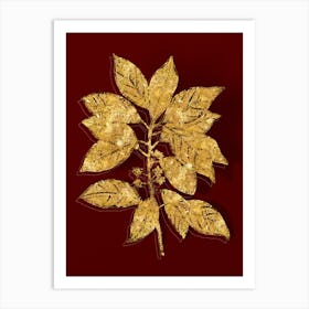 Vintage Redbay Botanical in Gold on Red n.0015 Art Print