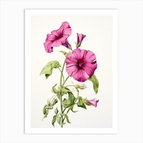 Petunias Flower Vintage Botanical 0 Art Print