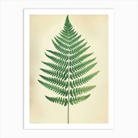 Vintage Illustration Marsh Fern 3 Art Print