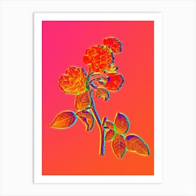 Neon Red Cabbage Rose in Bloom Botanical in Hot Pink and Electric Blue n.0410 Art Print