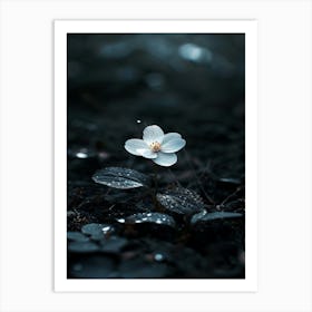 White Flower In The Dark 31 Art Print