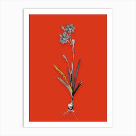 Vintage Coppertips Black and White Gold Leaf Floral Art on Tomato Red n.1221 Art Print