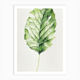 Wild Lettuce Leaf Minimalist Watercolour 5 Art Print