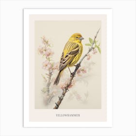 Vintage Bird Drawing Yellowhammer 2 Poster Art Print
