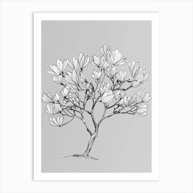 Magnolia Tree Minimalistic Drawing 3 Art Print