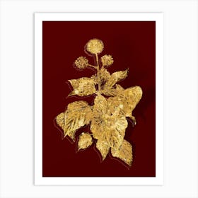 Vintage Common Ivy Botanical in Gold on Red n.0163 Art Print