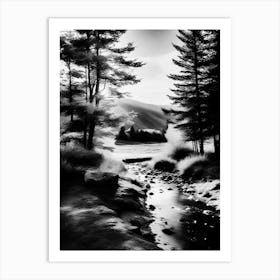 Infrared Photography 2 Art Print