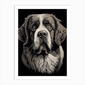 Saint Bernard Dog, Line Drawing 3 Art Print