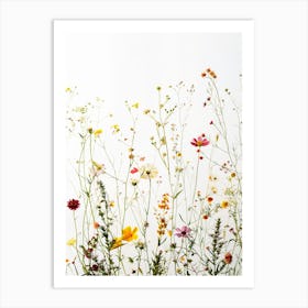 Wildflowers Flowers Flora Floral Flower Art Print