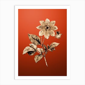 Gold Botanical Dahlia Simplex on Tomato Red n.2325 Art Print