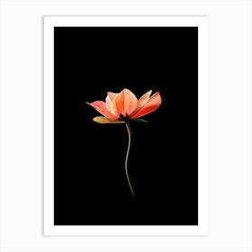 Lotus Flower On Black Background Art Print