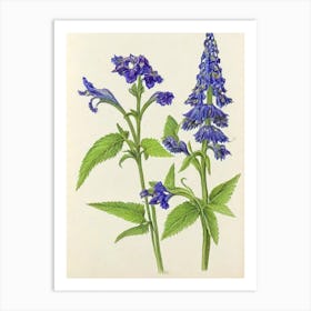 Delphinium Vintage Botanical Flower Art Print