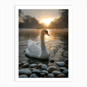 Swan In The Park 4 Art Print