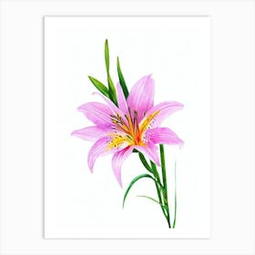 Lilies 3  Watercolour Flower Art Print