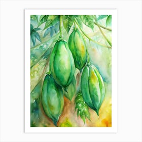 3 Bright Green Papayas Hanging From The Tree (1) Art Print