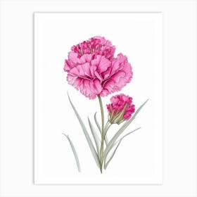 Carnation Floral Quentin Blake Inspired Illustration 2 Flower Art Print