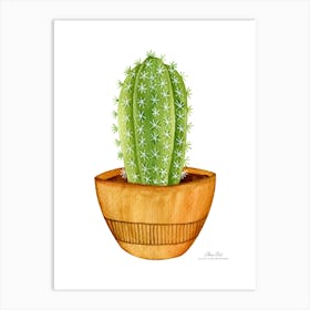 Aloe vera plant. Green plant. Beautiful plant. Thorns plant. Aloe vera flowers.22 Art Print